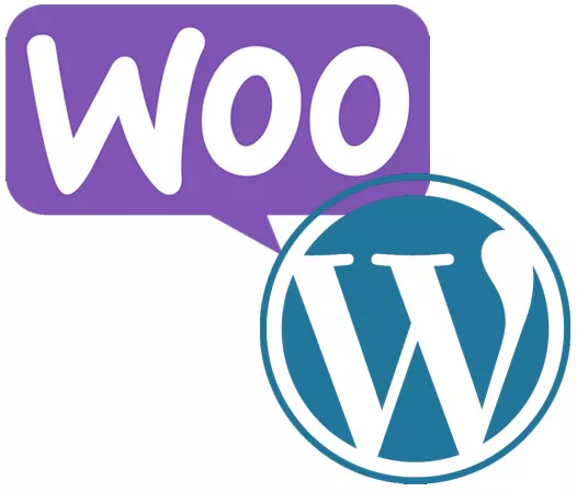 wordpress woocommerce seo services.jpg